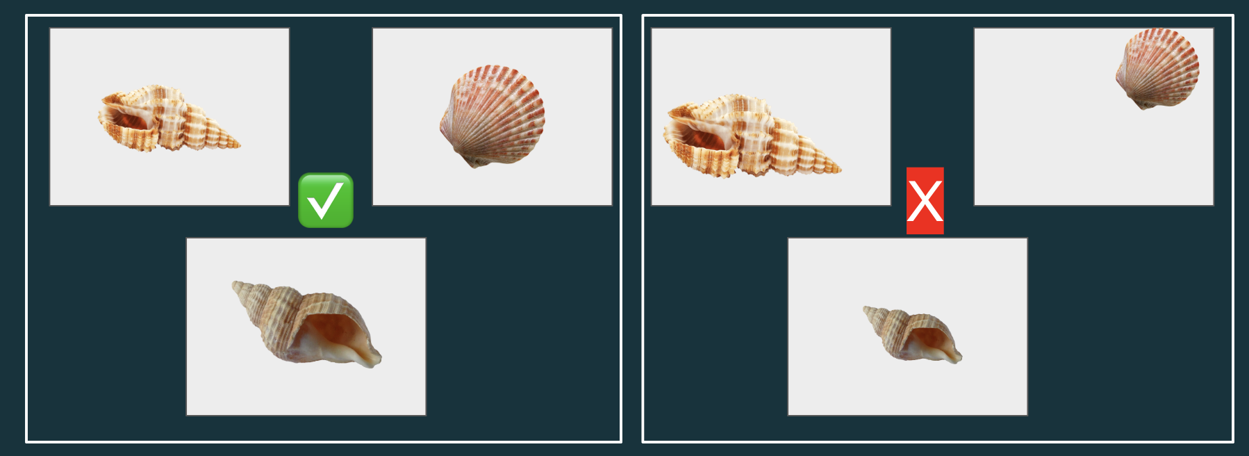 two examples: on the left are three images where different types of seashells are centered and about the same size on the page, on the right are three images where different types of seashells are different sizes and in different areas of the page