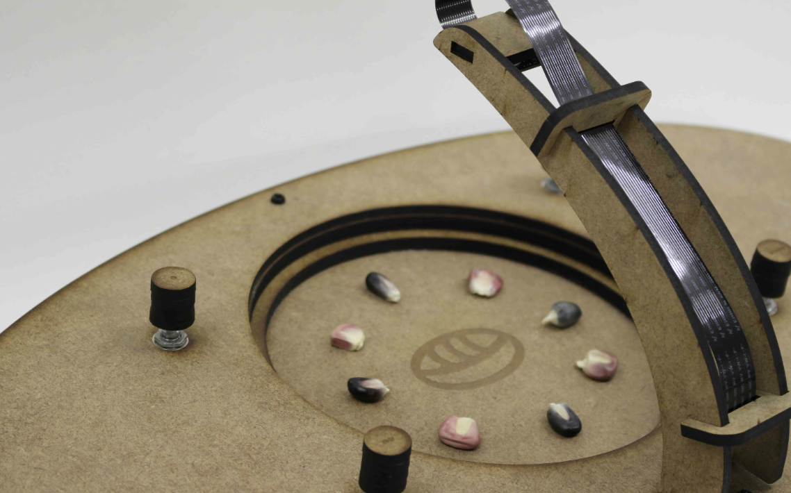 Maiz corn kernels laid out in a circle on a kind of machine surface