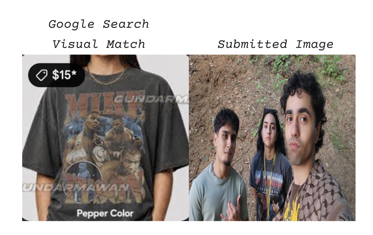 dataset of images that mean home, paired with the first visual match from a Google Image search