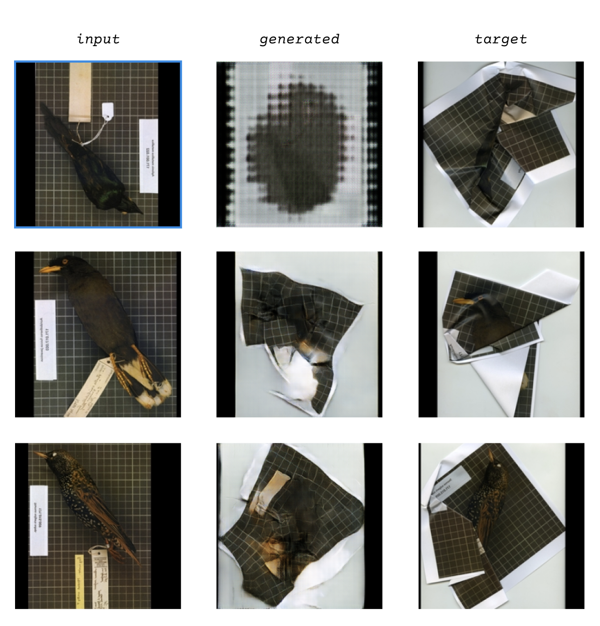 showing the training data, the taxidermied bird images, them printed out and crushed, and the generated outputs from the model