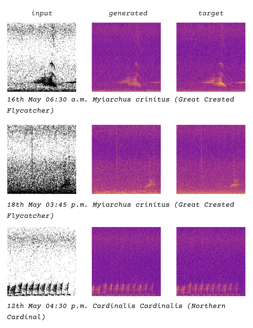 showing the training data, the spectrograms of birdsong and their binary-thresholded versions