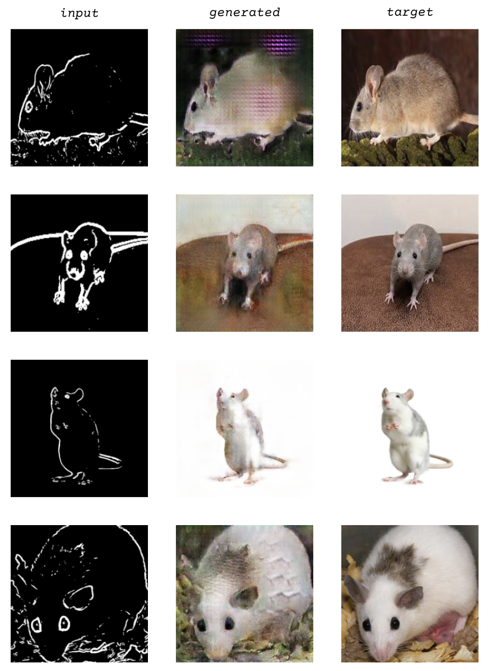 training data of photos of rats, line drawings of rats, and the generated outputs