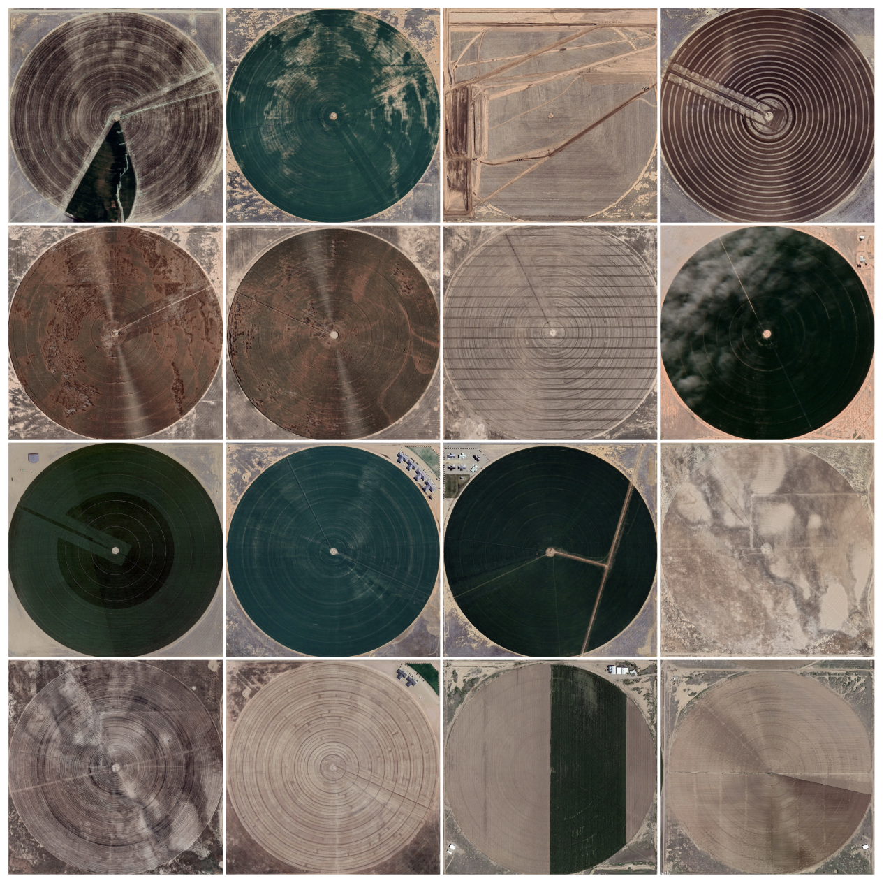 showing the training data - close-cropped satellite images of circular fields